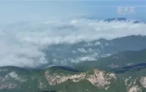 金年会登录入口-d壾w瓣俁?凙??mK的简单介绍